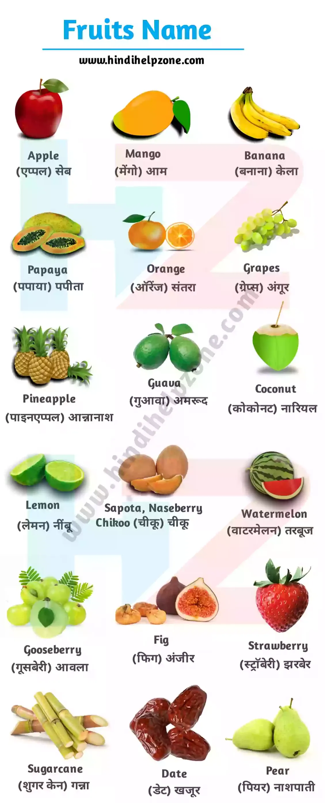 All Fruits Name List In Hindi And English (pdf) - फलों के नाम
