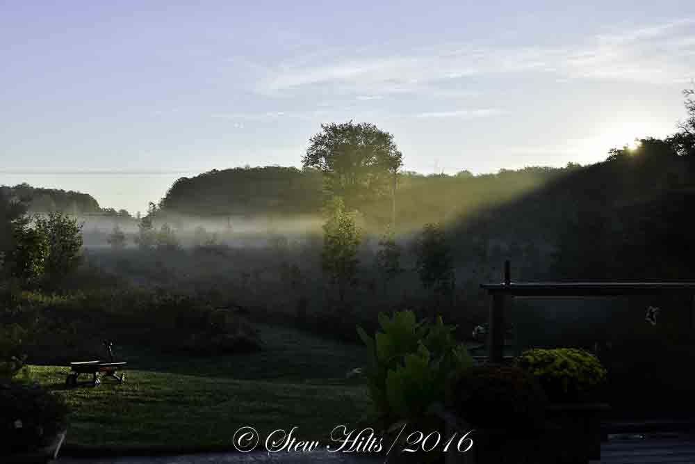 buy Sleep Medicine 1999