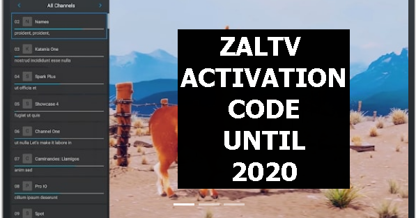 Kode Premium Zaltv 2020 Free