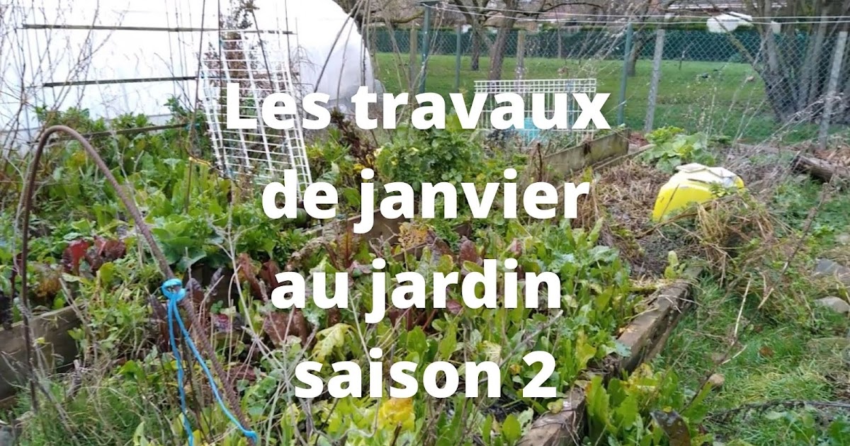 Insecticide Plantes d'Intérieur et du Balcon Algoflash - Déco du Jardin à  Reims