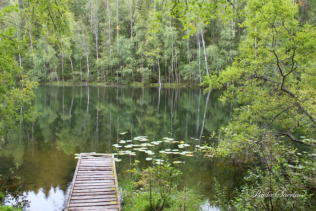 Kiukkaanlammen laituri