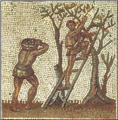 Esclavos romanos, dedicados a la agricultura