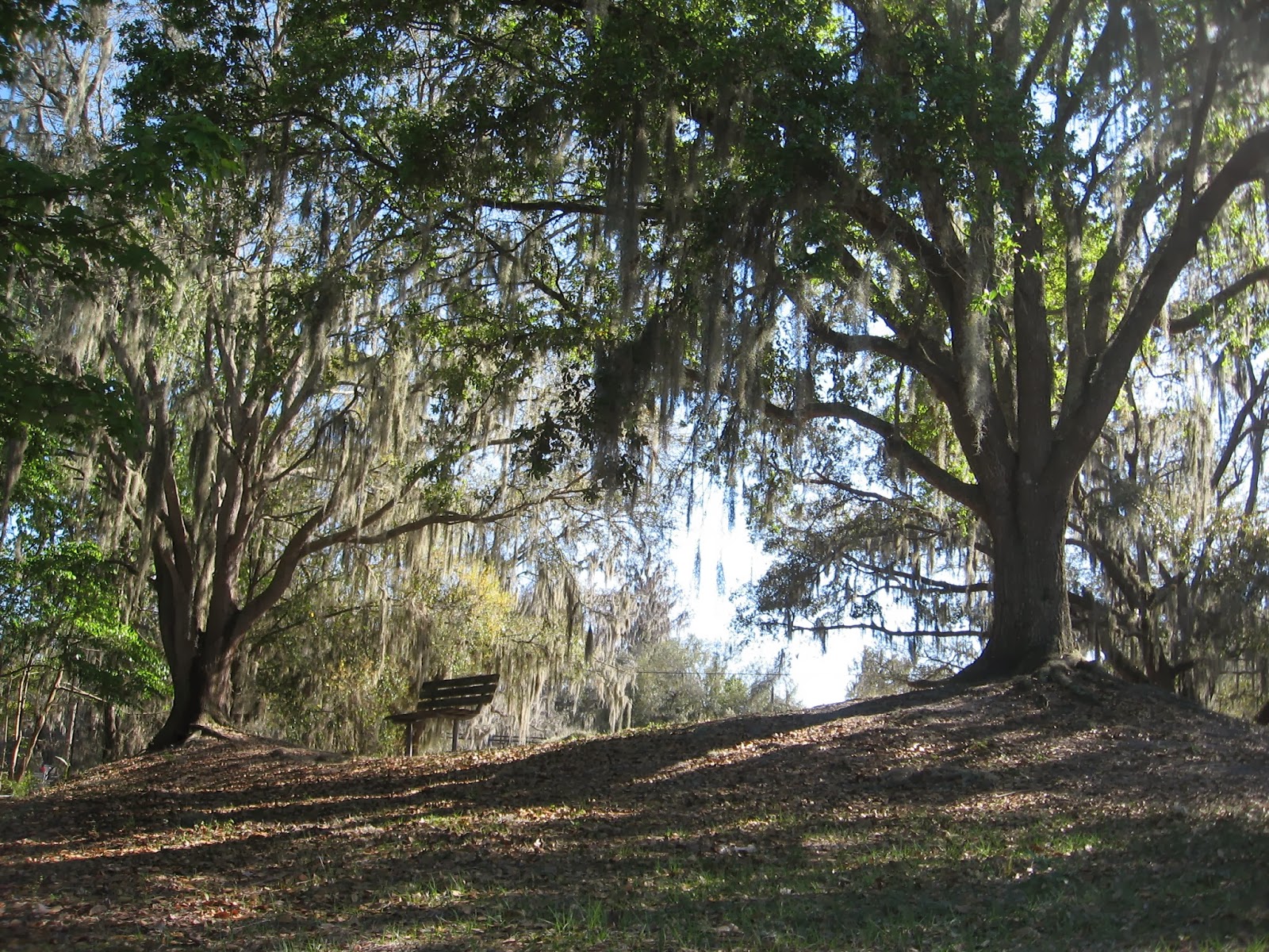 Thonotosassa Florida Baker Creek Boat Ramp on Lake Thonotosassa