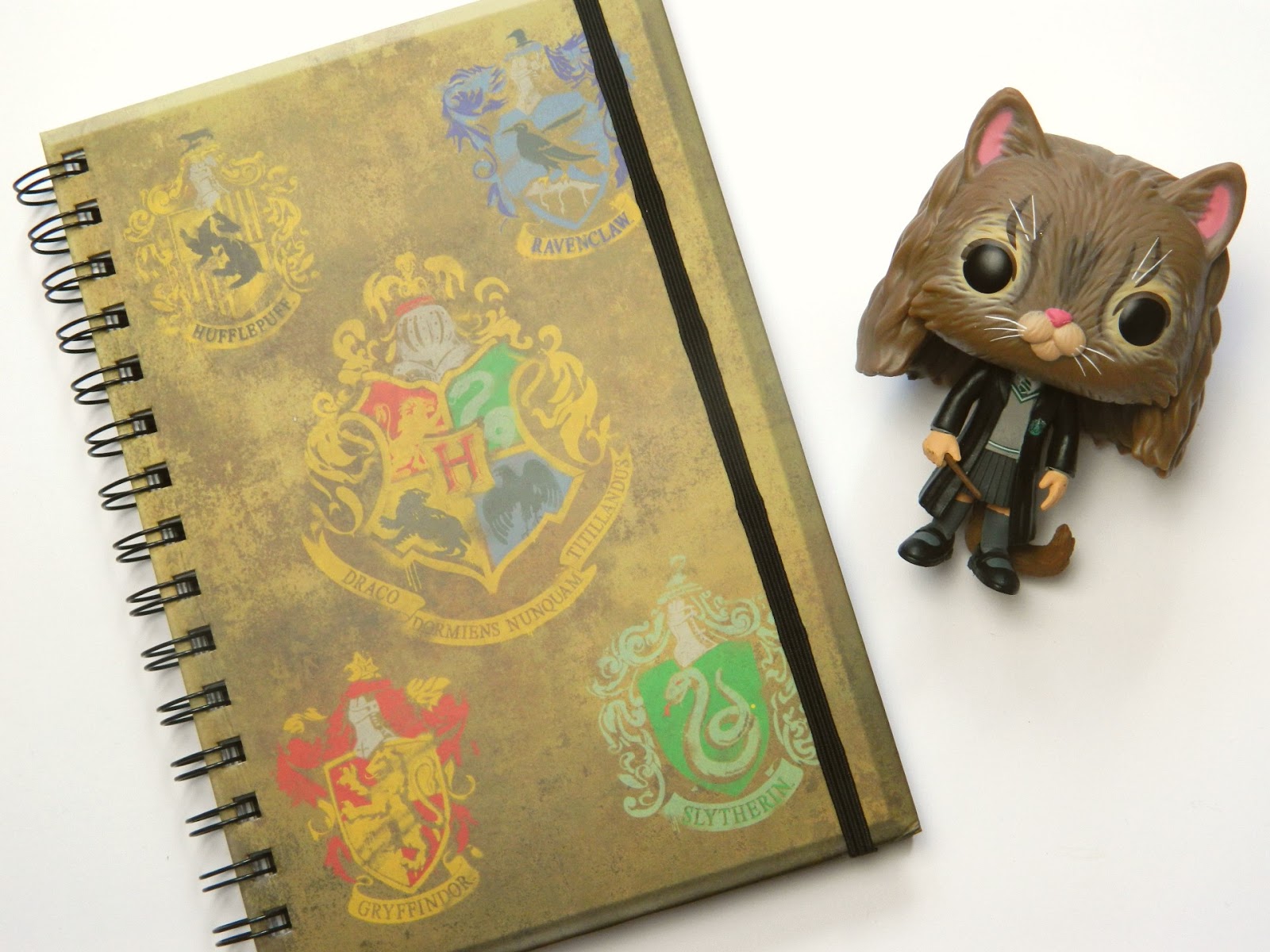 Harry Potter Notebooks From Poundland Raiin Monkey