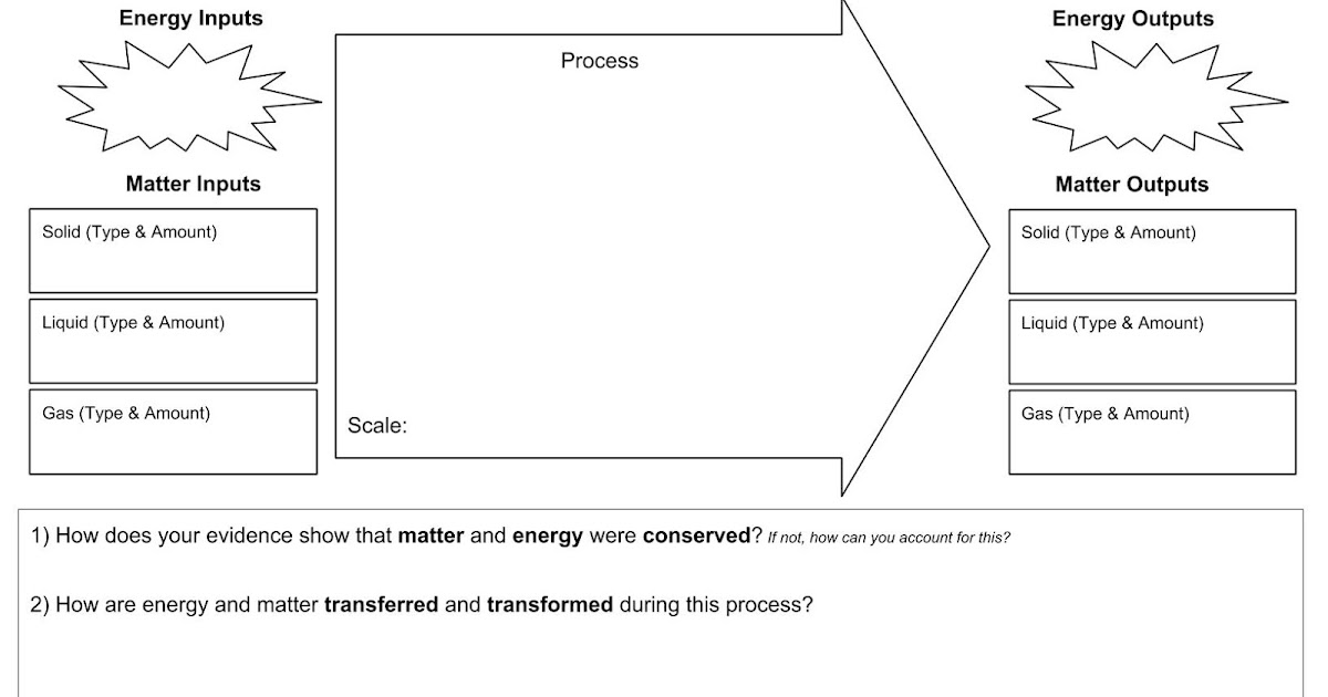 North Country 3D Science Café Why do plants grow toward the sun?