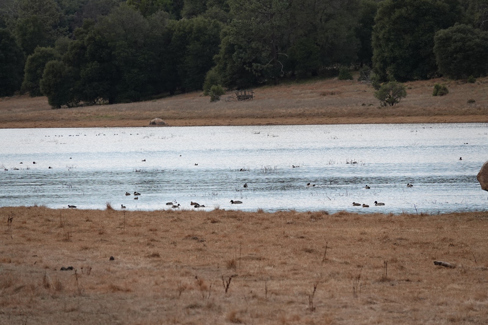 Looking for Lakes Corte Madera