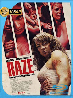 Destrucción (2013) HD [1080p] Latino [GoogleDrive] PGD