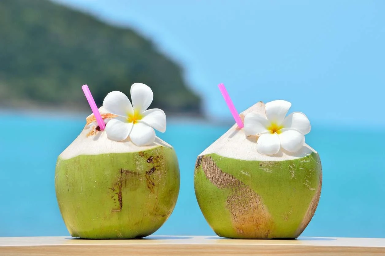 13 Benefícios da Água de Coco à Saúde
