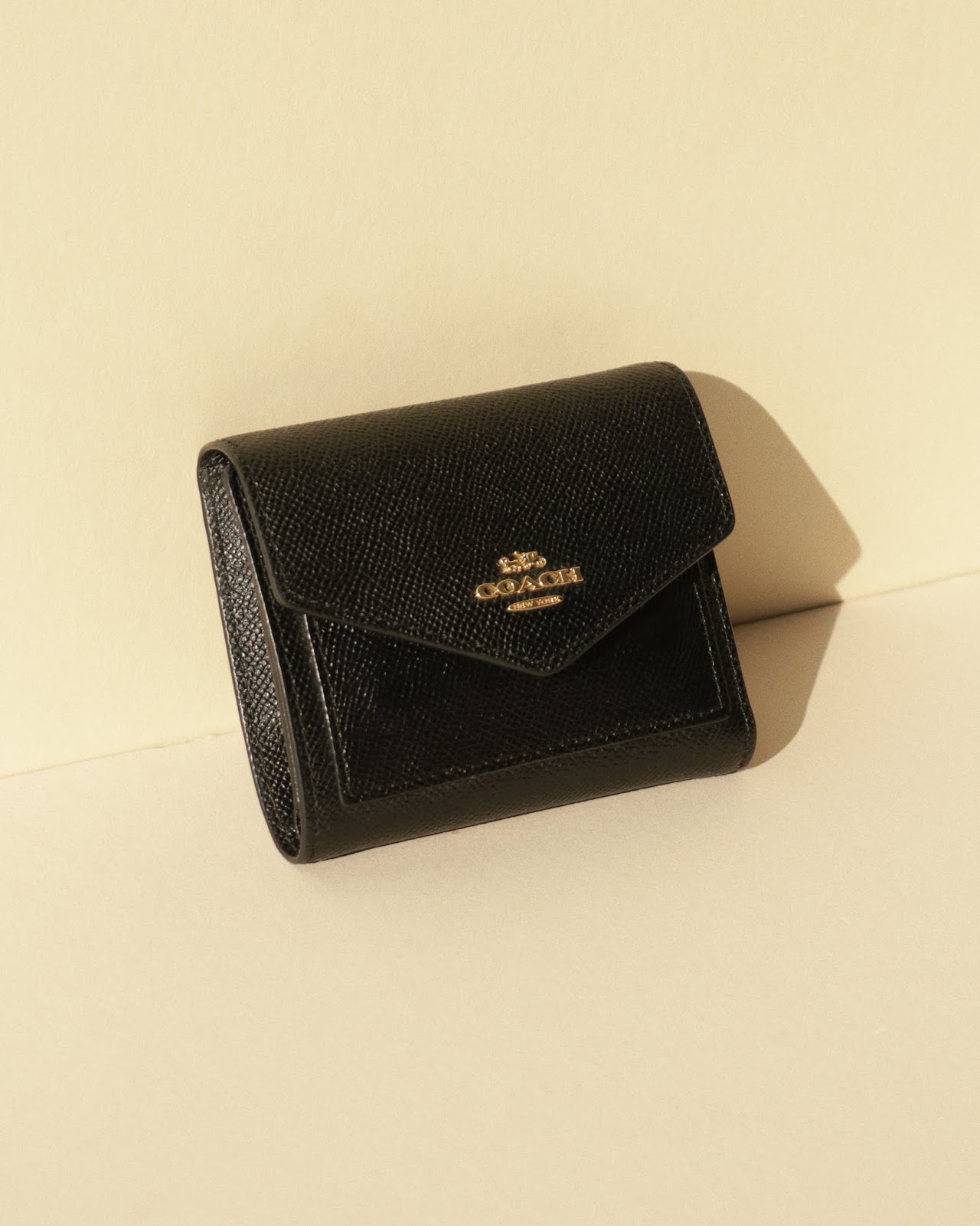 coach small envelope wallet