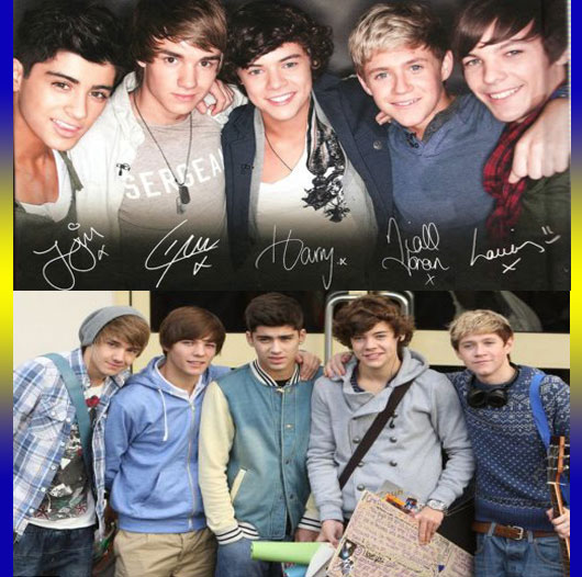 Profil One Direction