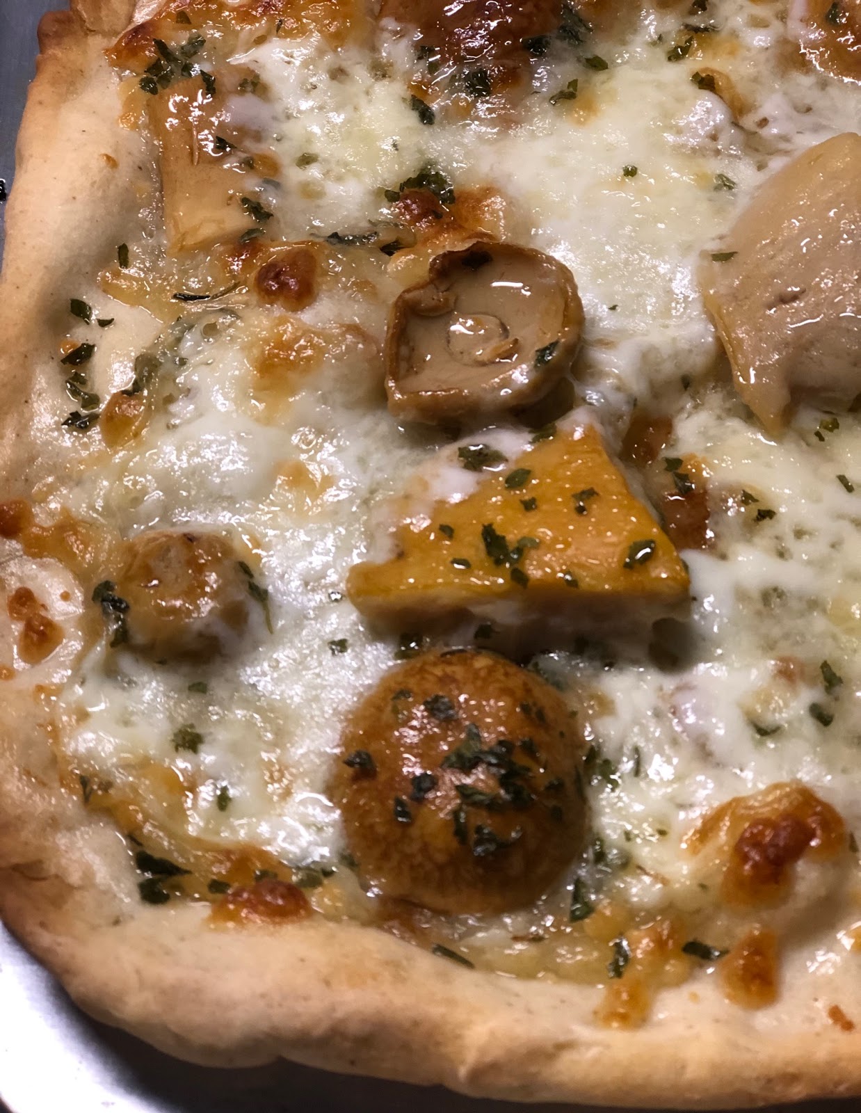 PIZZA PORCINI E TALEGGIO senza glutine
