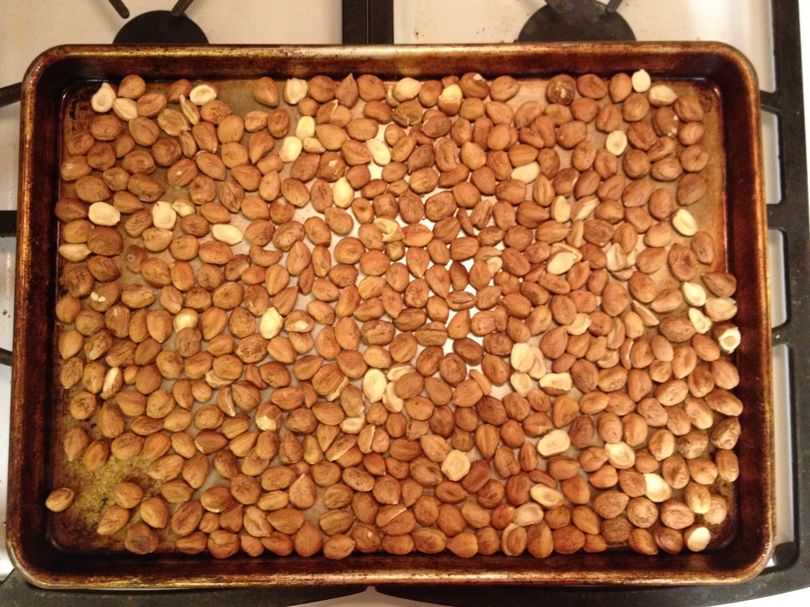 Roasting Hazelnuts