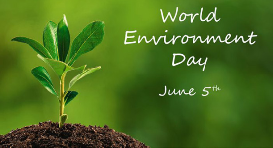 World Environment day World+Environment+day