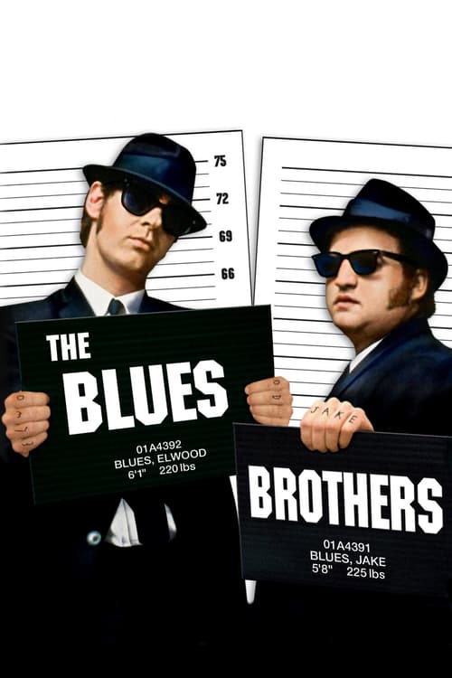 Brothers Film Streaming Vostfr [VF] The Blues Brothers 1980 Film Complet Streaming - Regarder Film
