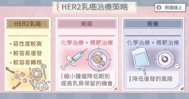 HER2乳癌治療策略