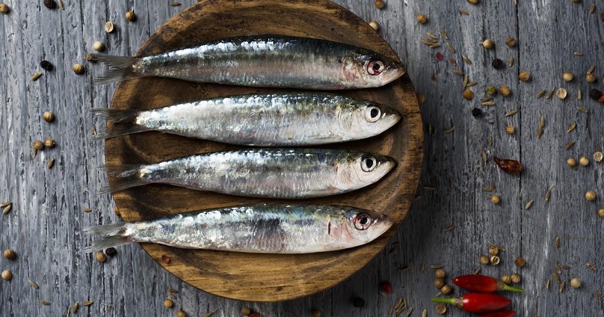 Recipe Sardine Dolma's (sardine balls in sauce)