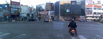 자라니 모음 | 인스티즈