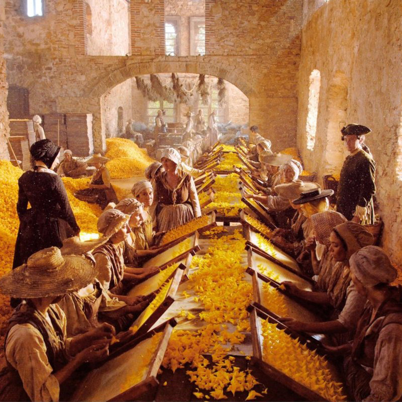 анфлераж в парфюмерии. метод анфлераж эфирные масла. парфюмер мадам арнульфи. холодный анфлераж. анфлераж в парфюмерии.