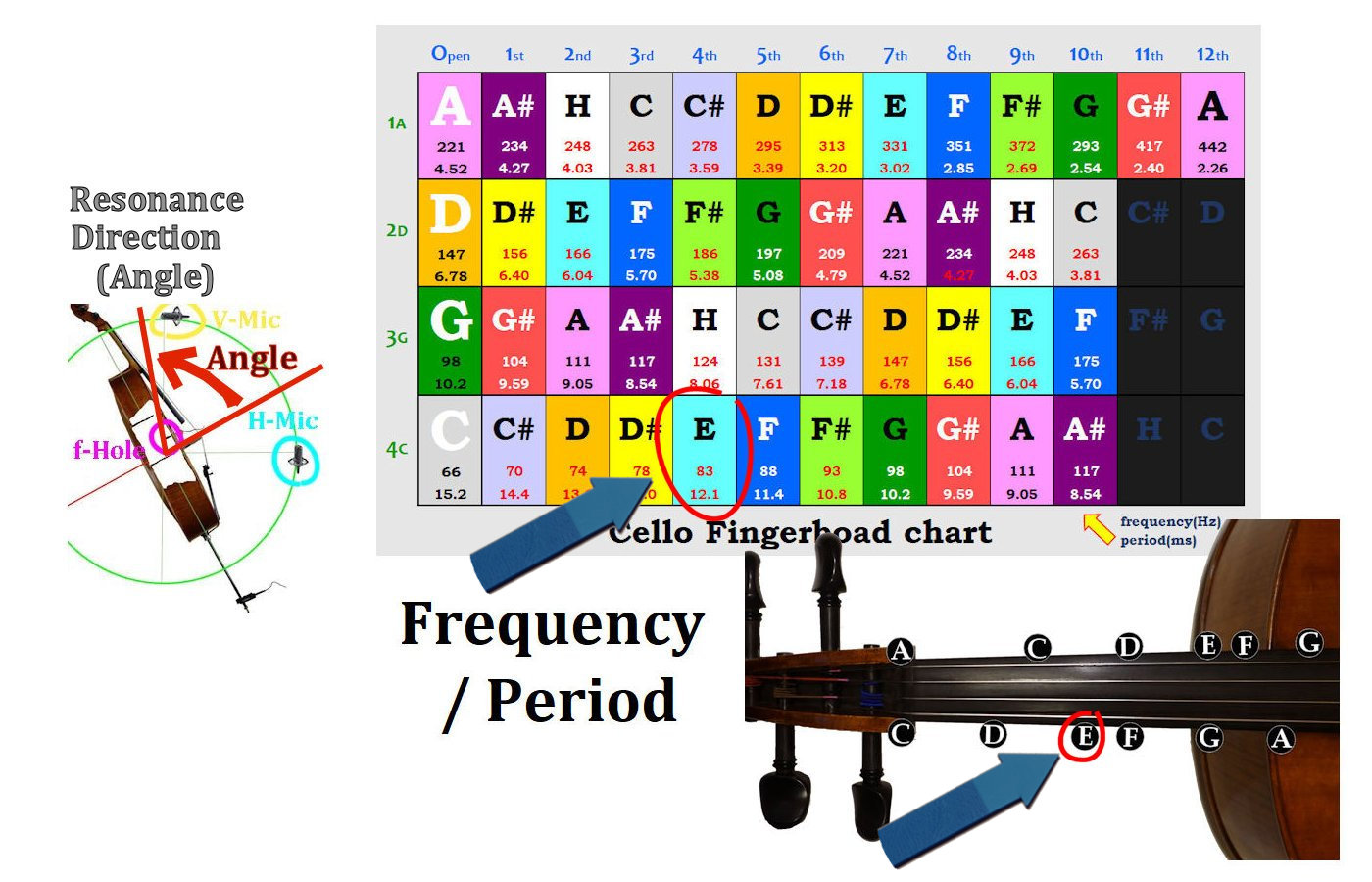 Cello Resonance E(83Hz) on Cstring Simulation x160 slower