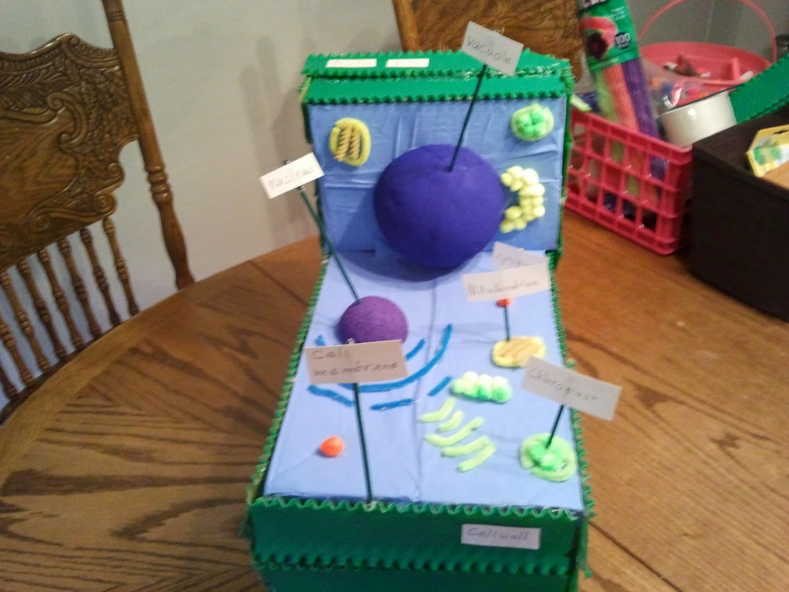 Animal Cell Clay Model Labeled