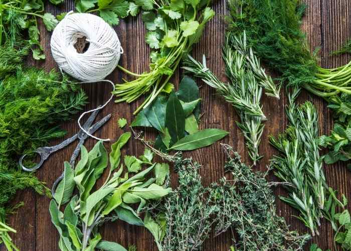 How to Grow an Herbal Tea Garden Indoors or Outdoors Homesteading in Ohio
