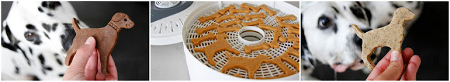 Homemade Dog Shaped Dog Treats Dalmatian dogs sniffing homemade dog shaped dog treats