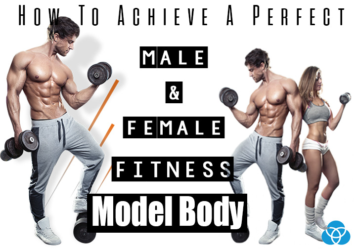 How To Achieve A Perfect Male And Female Fitness Model Body Vestellite