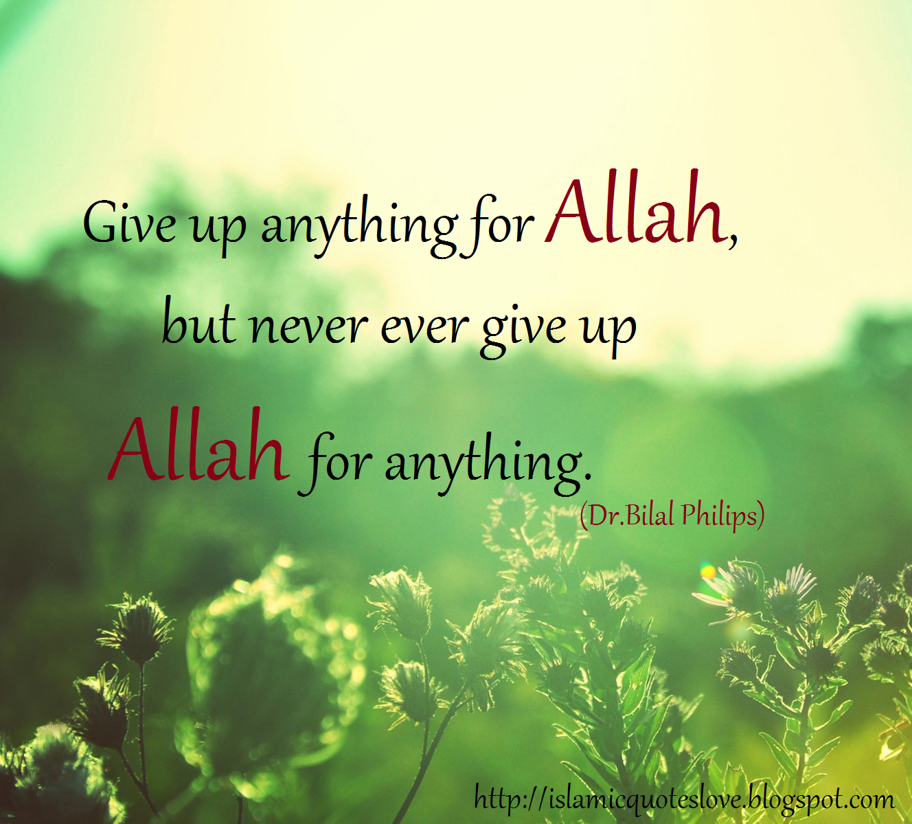 Islamic Quote: Give up anything for Allah, but never ever give up Allah