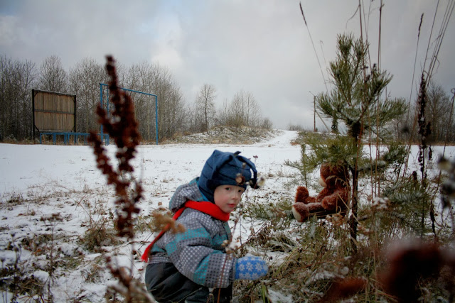 Утро На Бьорновой Опушке