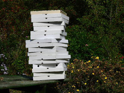 Pizza boxes and beer bottles at end of summer
