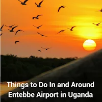 Things to Do In and Around Entebbe Airport in Uganda