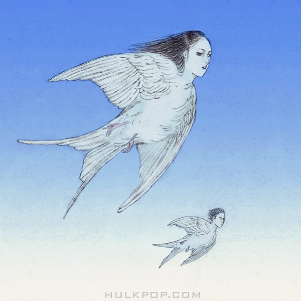 XINCO DE MAYO – Bird – Single