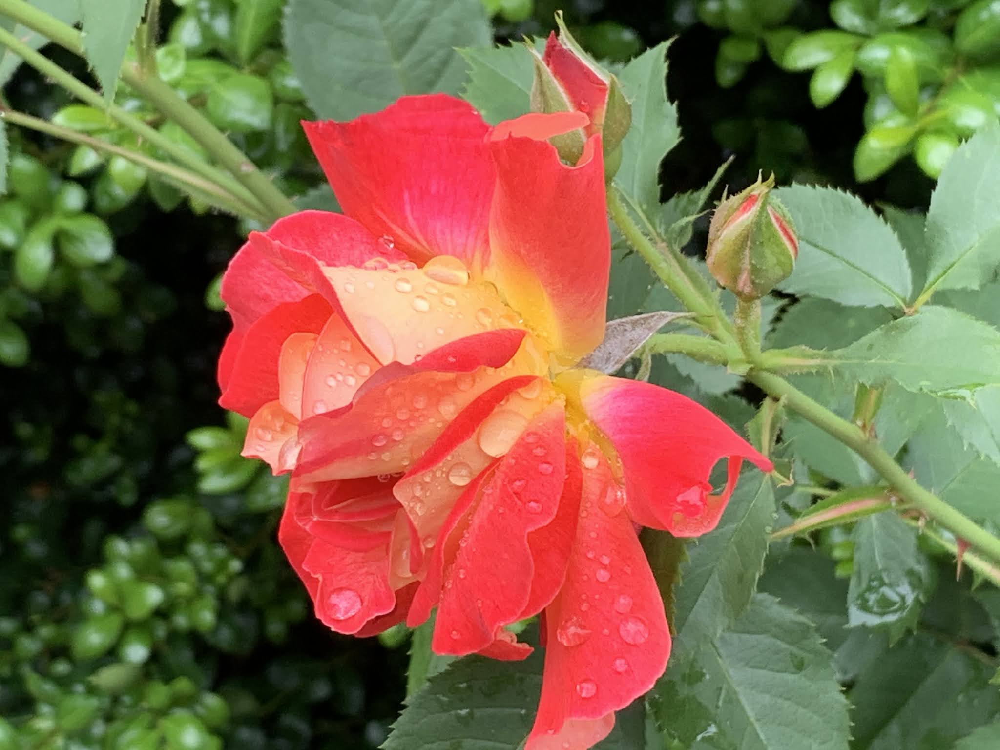 У каждого камушка есть смысл и назначение в жизни