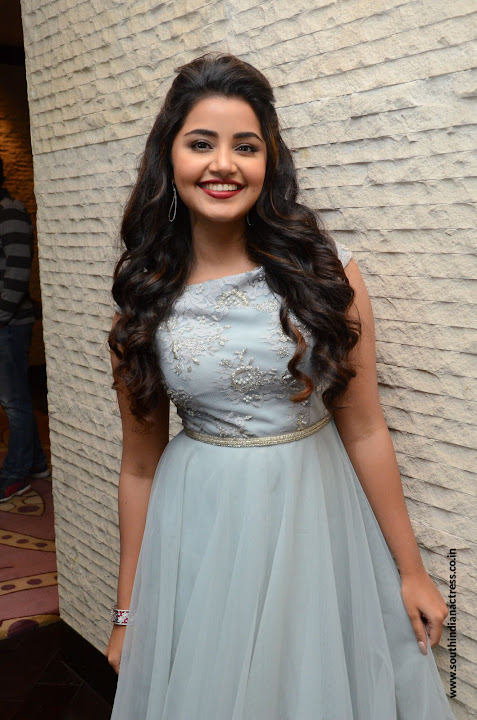 Anupama Parameswaran at Vunnadi Okate Zindagi Pre Release