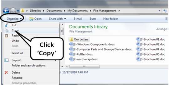 Manuals for Class: Files and Folders