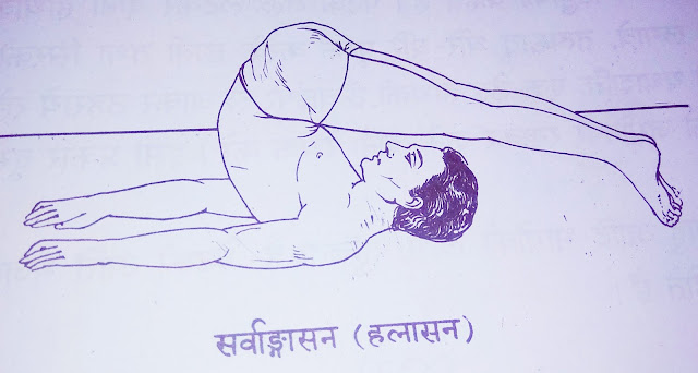 हलासन । Halasana | Yoga Asana