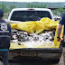 BARREIRAS: CARGA COM CERCA DE 600 KG DE PEIXE É APREENDIDA EM CAMINHONETE