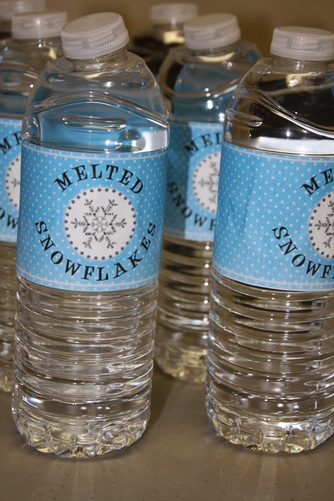 Witty Whitney Frozen Ice Skating Party