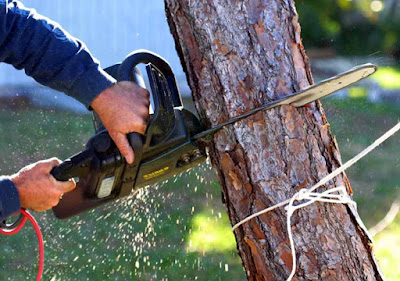 Totally Trees Tree Service - Luding