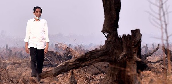 Pak Jokowi, Kebakaran Hutan Dan Lahan Tidak Bisa Diatasi Dengan Jargon
