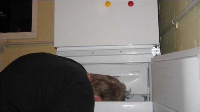 David Horvitz - 241543903