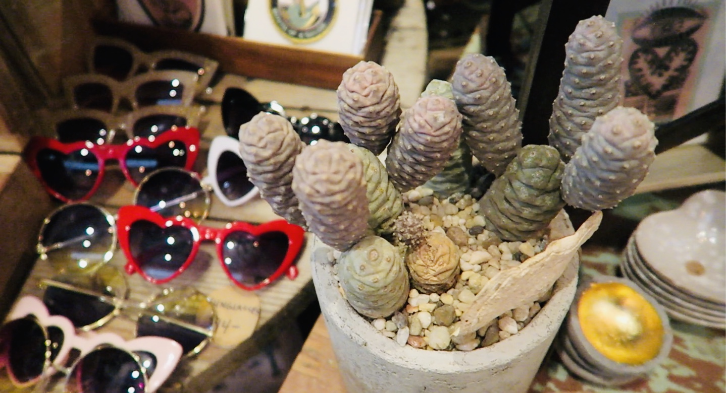 I Just Love Going To The Market Because You Can ALWAYS Find Unique Stuff! I Just Love Going To The Market Because You Can ALWAYS Find Unique Stuff!