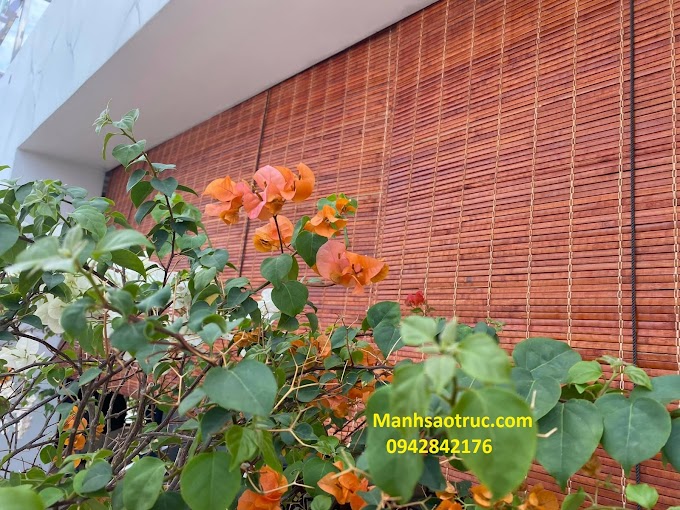 THI CÔNG MÀNH TRE CĂNG TIN SÂN THƯỢNG CỰC ĐẸP