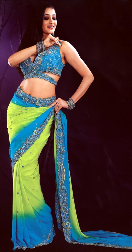 T V Beauties Sweta Tiwari In Saree Hot Pictures