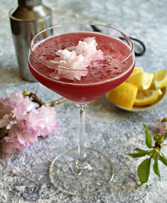 Recipe for a gin cocktail flavored with lemon juice and cherry.