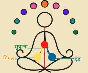 इंडा, पिंगला और सुषुम्ना नाडी में अंतर/difference