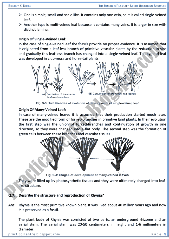 Kingdom Plantae - Short Questions Answers - Biology XI