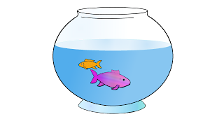 Fish in bowl picture