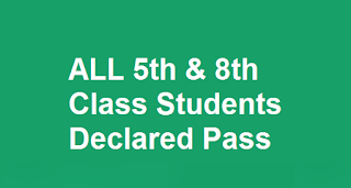 ALL 5th & 8th Class Students Declared Pass in Punjab 2018 Results