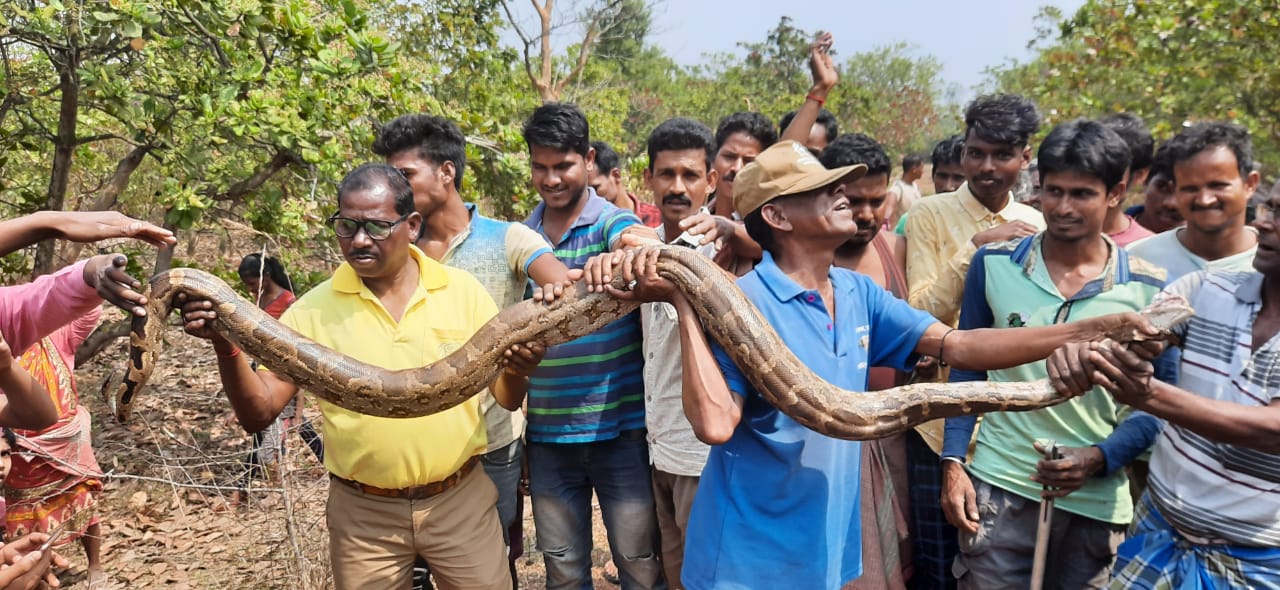 মেদিনীপুরের শিশুদের পার্কে ঝুলছে বিশাল অজগর, পড়ি মরি করে দৌড় গ্রামবাসীদের 1 মেদিনীপুরের শিশুদের পার্কে ঝুলছে বিশাল অজগর, পড়ি মরি করে দৌড় গ্রামবাসীদের
